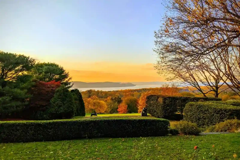 manutenzione giardino in autunno potatura