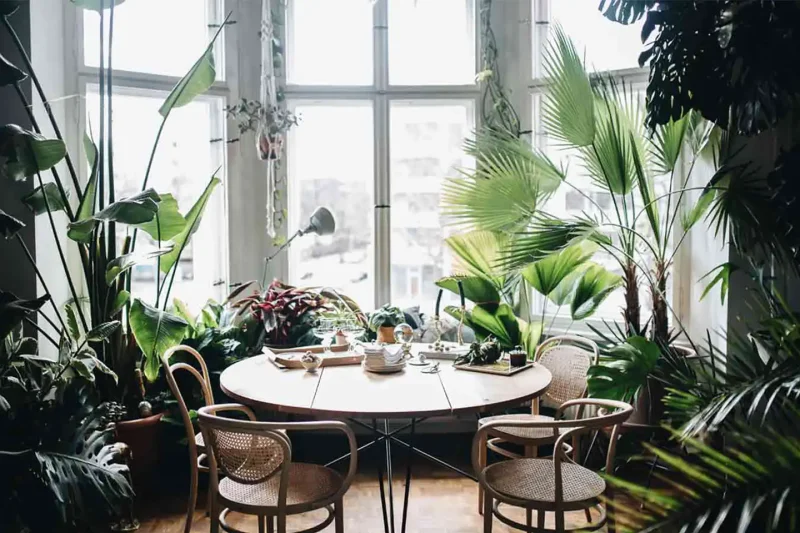 arredare con le piante zona pranzo