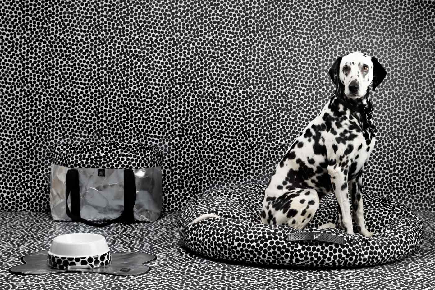 La collezione Dotto di Paola Navone per 2.8 design for dogs