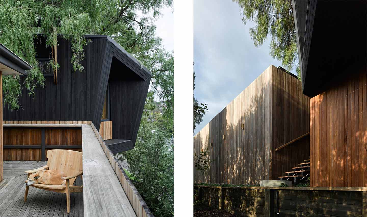 Pepper Tree Passive House