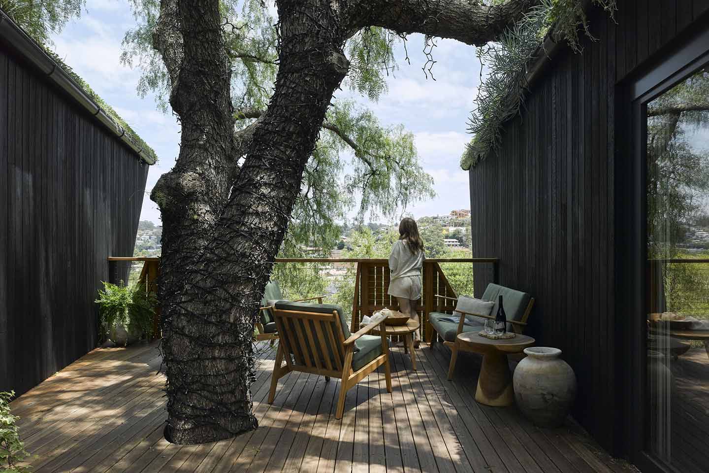 Pepper Tree Passive House