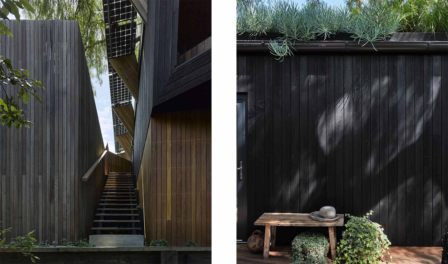 Una casa passiva sull’albero di pepe 