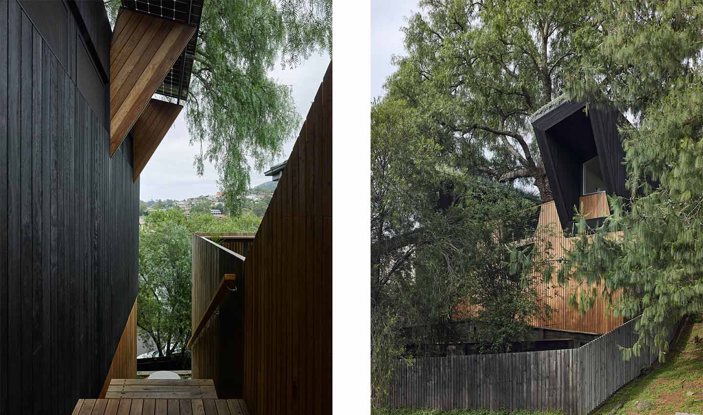 Una casa passiva sull’albero di pepe 