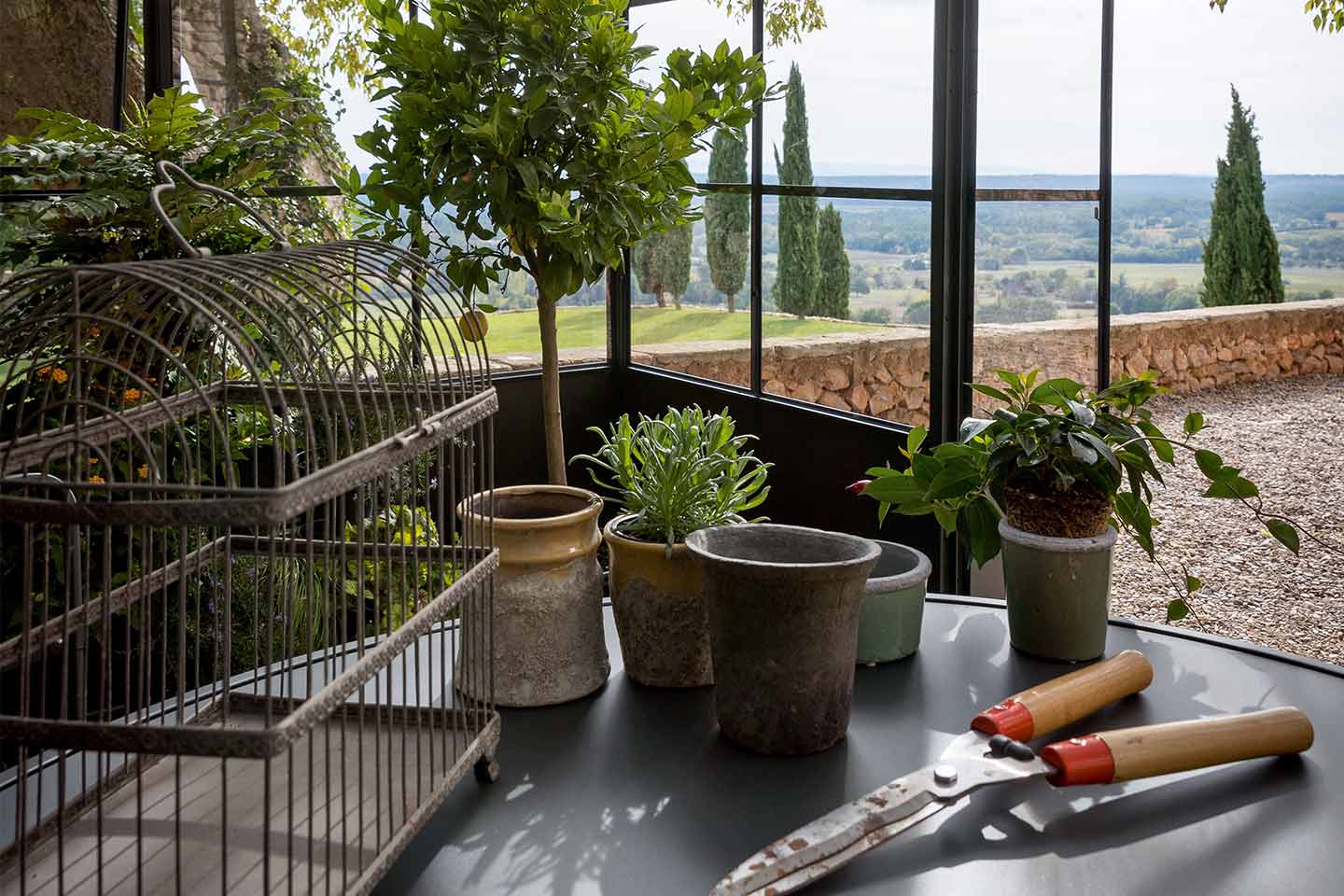 orangerie di Unopiù con piante