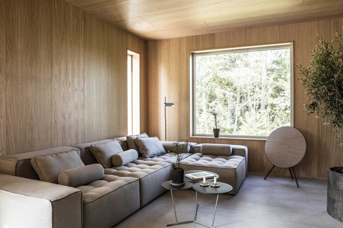 soggiorno casa contemporanea scandinava