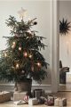albero di Natale vero addobbato in stile nordico