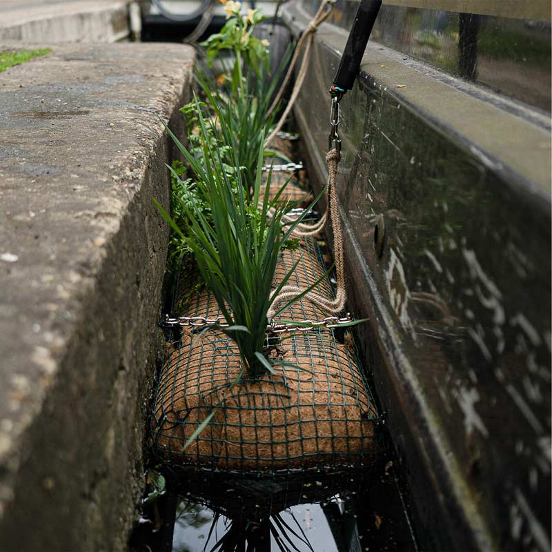 adesignaward greendesign boat biologs