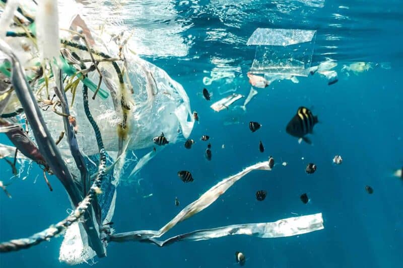 Microplastiche, acqua e ambiente: tutto quello che dobbiamo sapere
