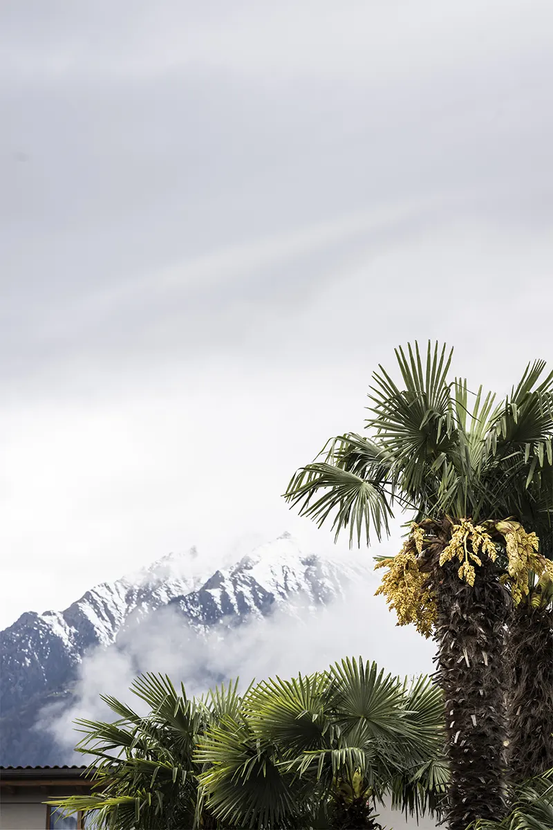hotel nutzhof esterno alpi